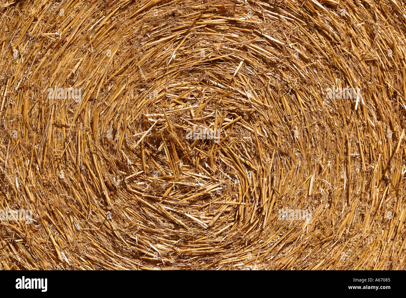 Bail of Straw Near Me Exploring Eco-Friendly Building Options