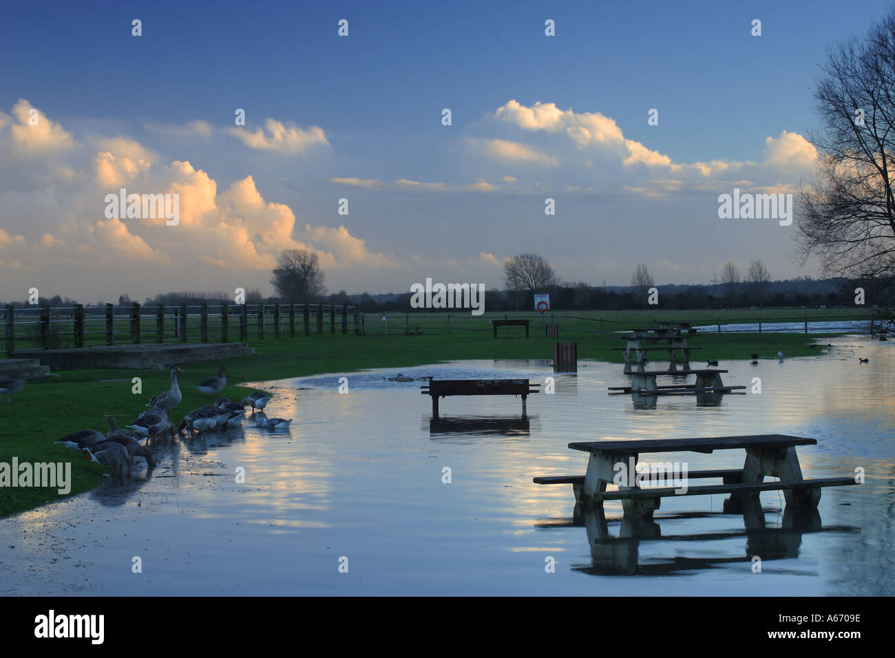 Floods in Oxford Stock Photo Alamy