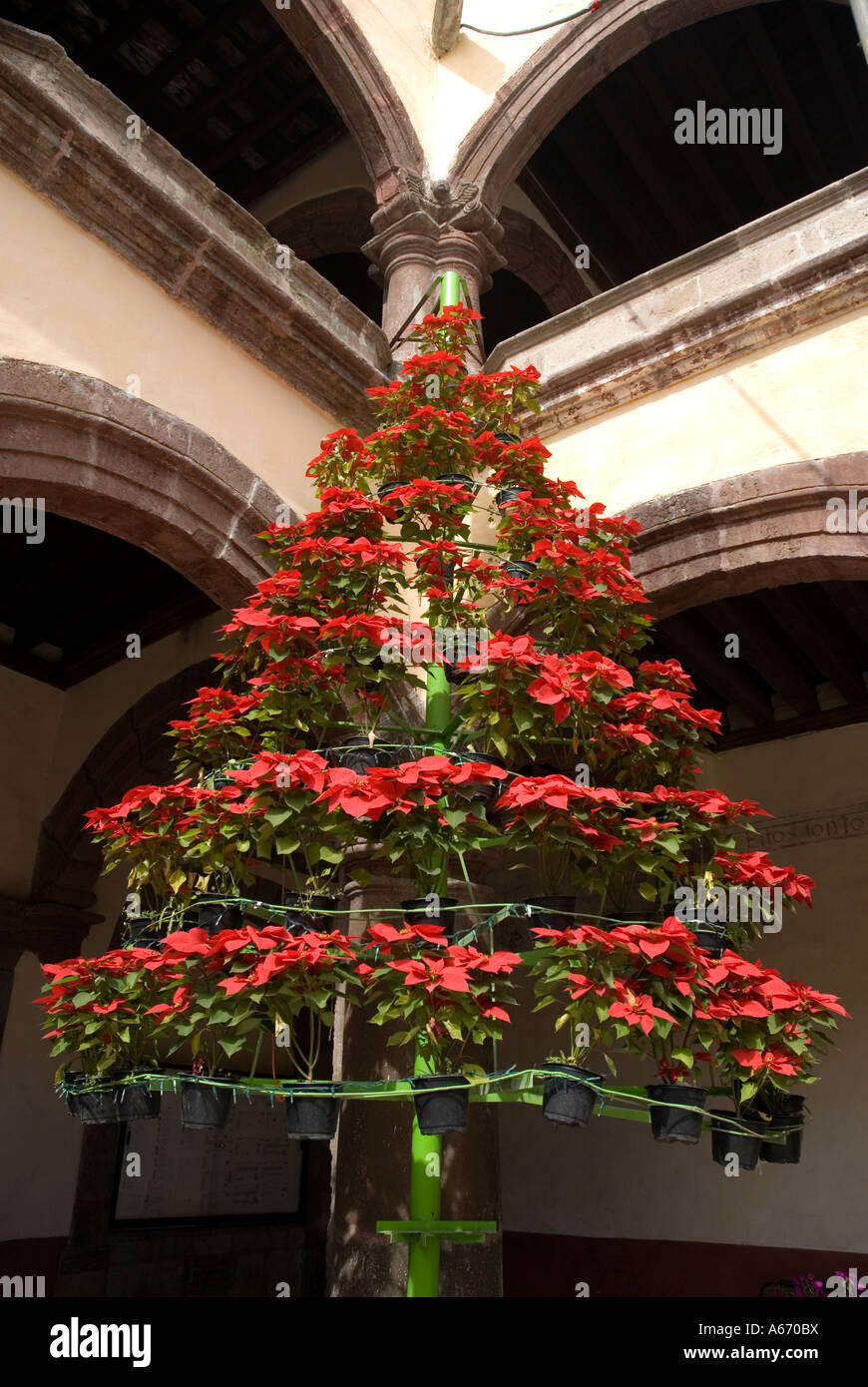 san bernardino siena church xochimilco christmas tree mexico city