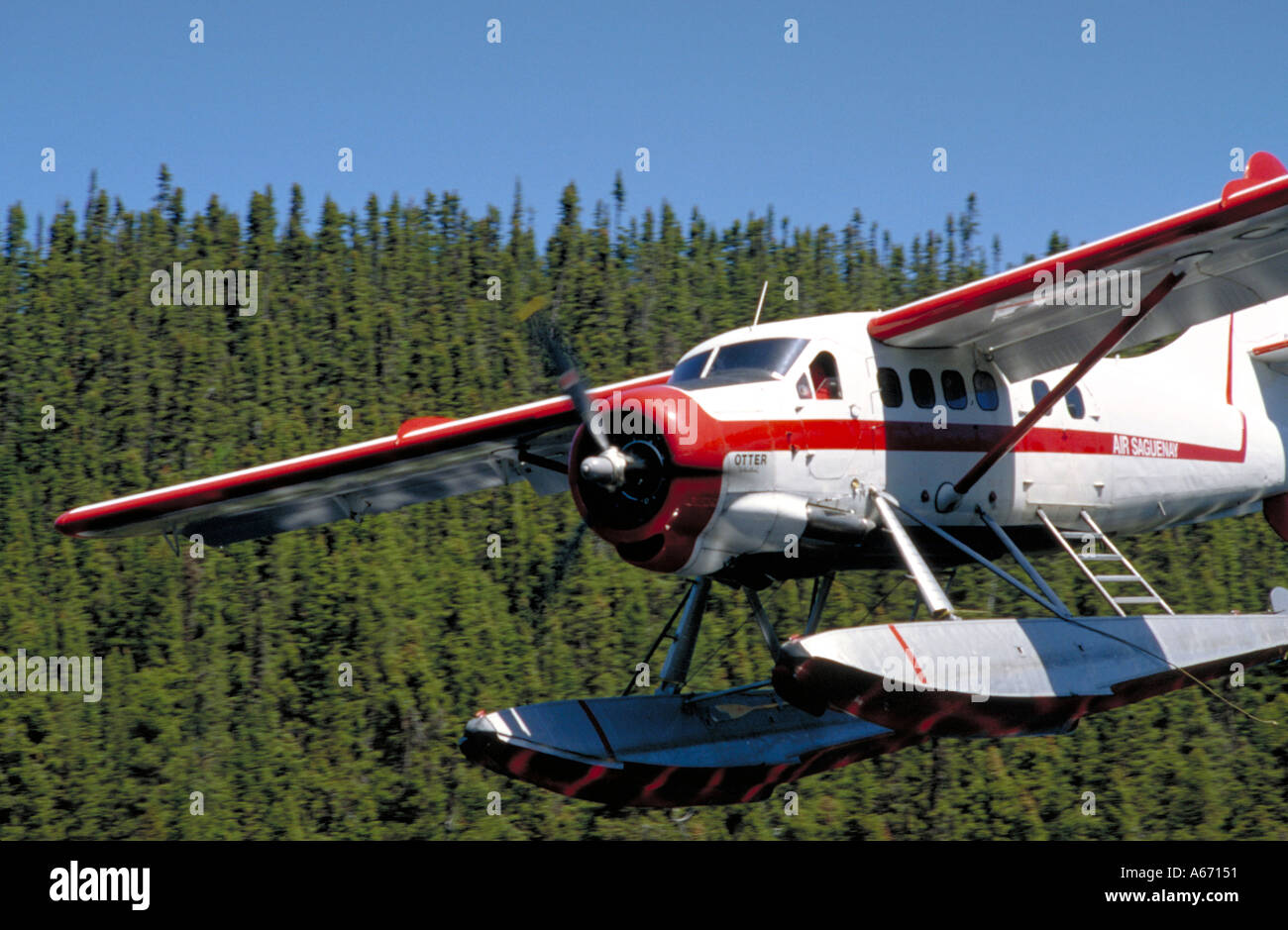 Otter float plane landing on Quebec lake Canada Stock Photo Alamy