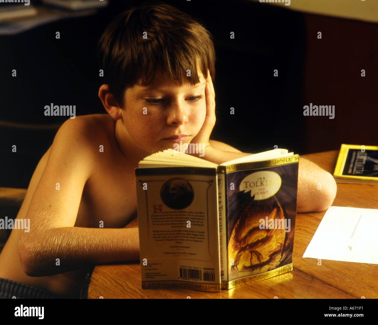 Boy reading Tolkien Stock Photo
