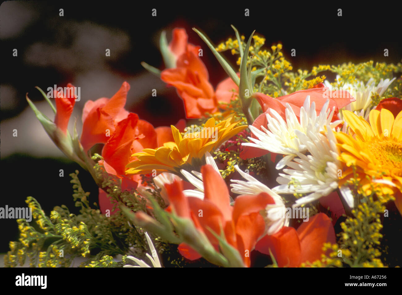 bunch-of-flowers-stock-photo-alamy