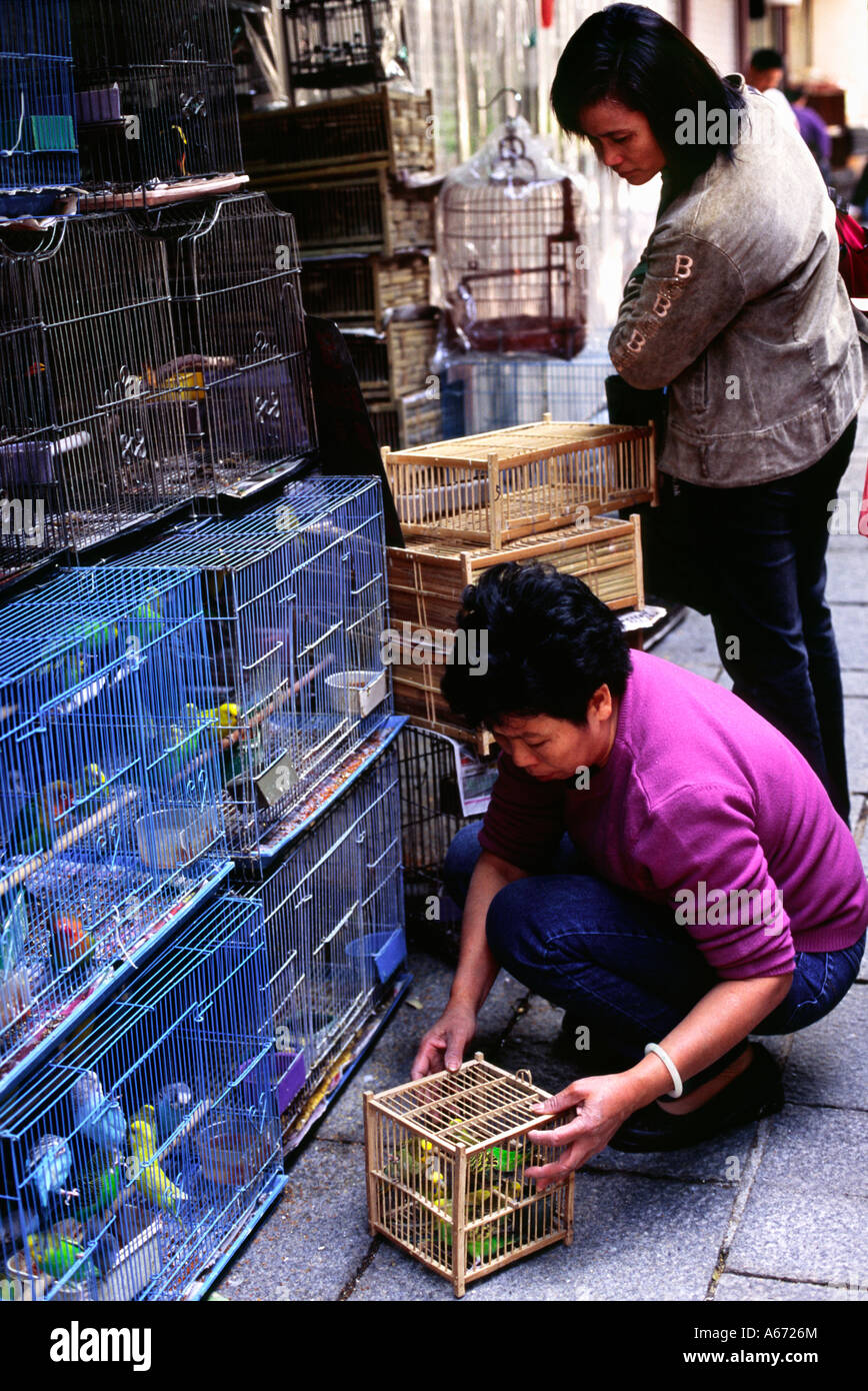 A shop owner removes a bird for a customer from the many cages in the Yuen Po Street Bird Garden in Mong Kok district Stock Photo