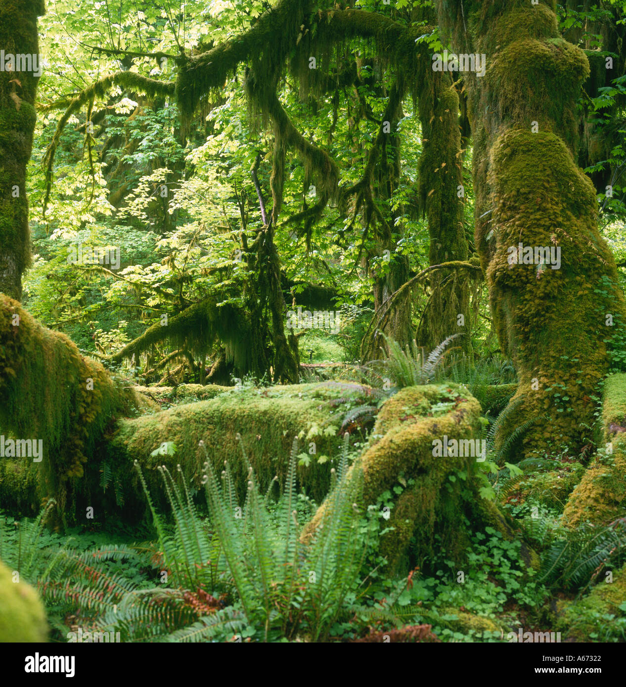 My Image 23