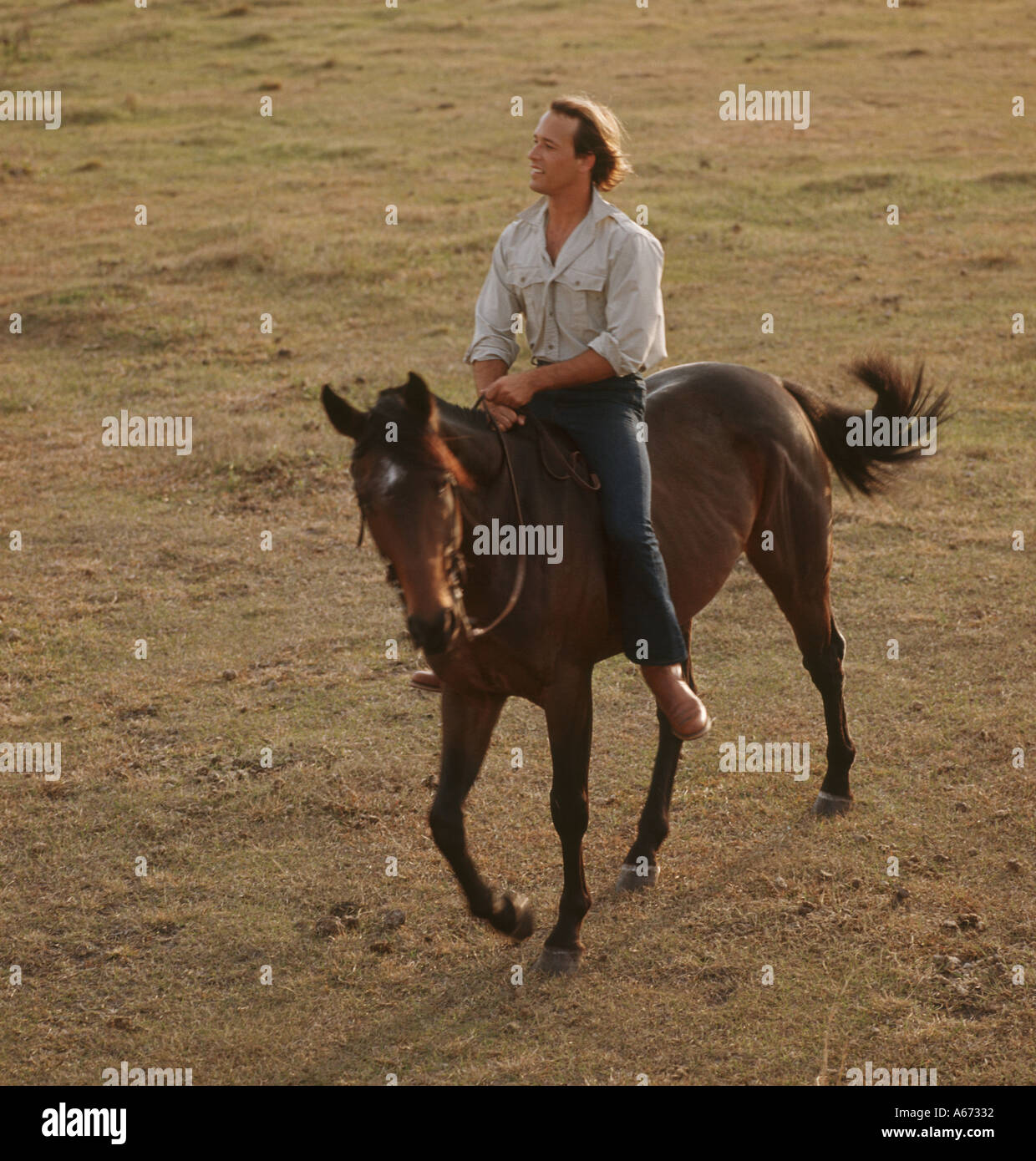 Man riding horse Stock Photo - Alamy