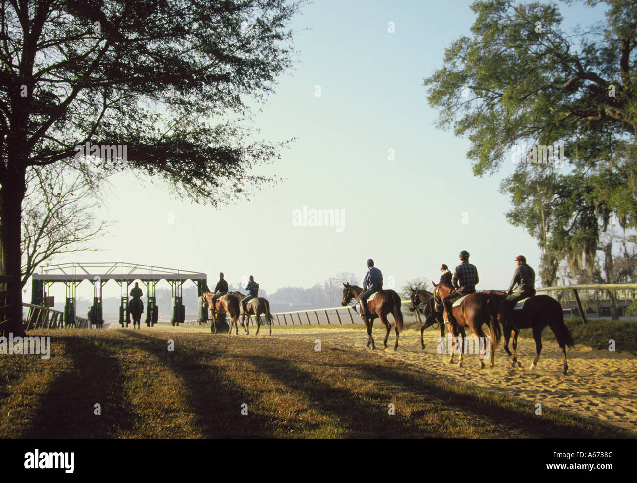 Exercise riders enter track for early morning work out of young ...