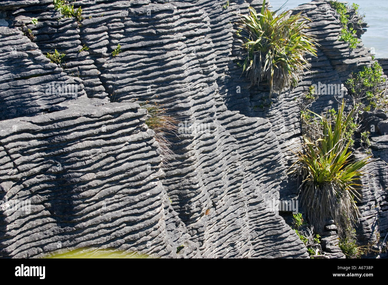 Layered limestone rocks in cliffs at Pancake Rocks Punakaiki South