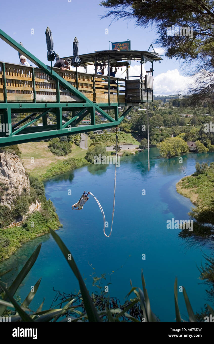 Man diving into Waikato River from 47 meter high cantilever platform at Taupo Bungy North Island New Zealand Stock Photo