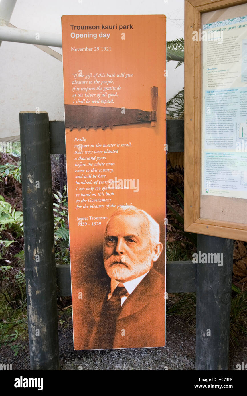 Trounson kauri park Kauri forest reserve Western Northland New Zealand