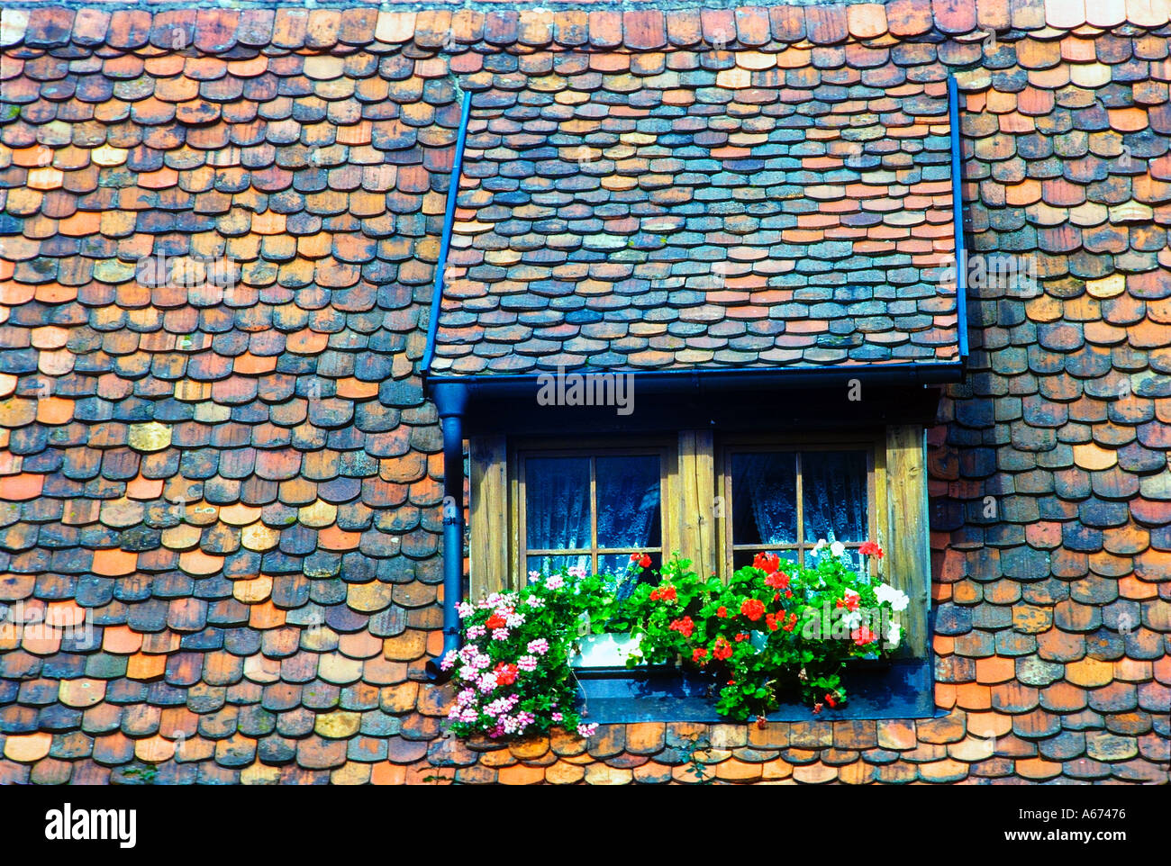 Roof tiles and flower boxes in Rothenburg Germany Stock Photo