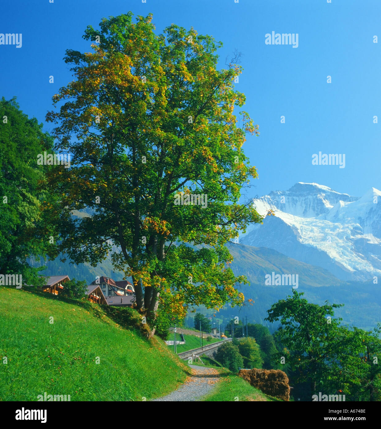 Alps in Switzerland Stock Photo