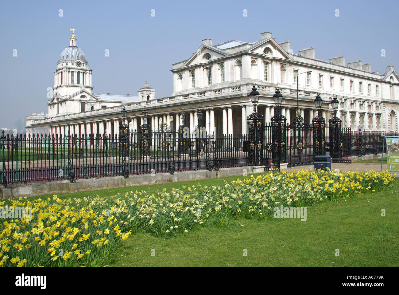 Old Royal Naval College buildings with display of spring flowering yellow daffodils along perimeter of Greenwich Park London England UK Stock Photo