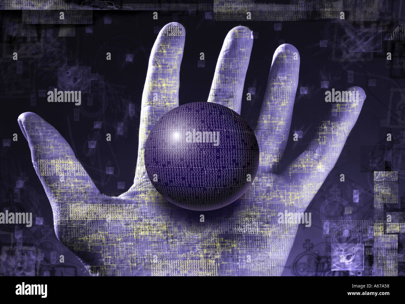 Hand holding sphere with technology and information Stock Photo Alamy