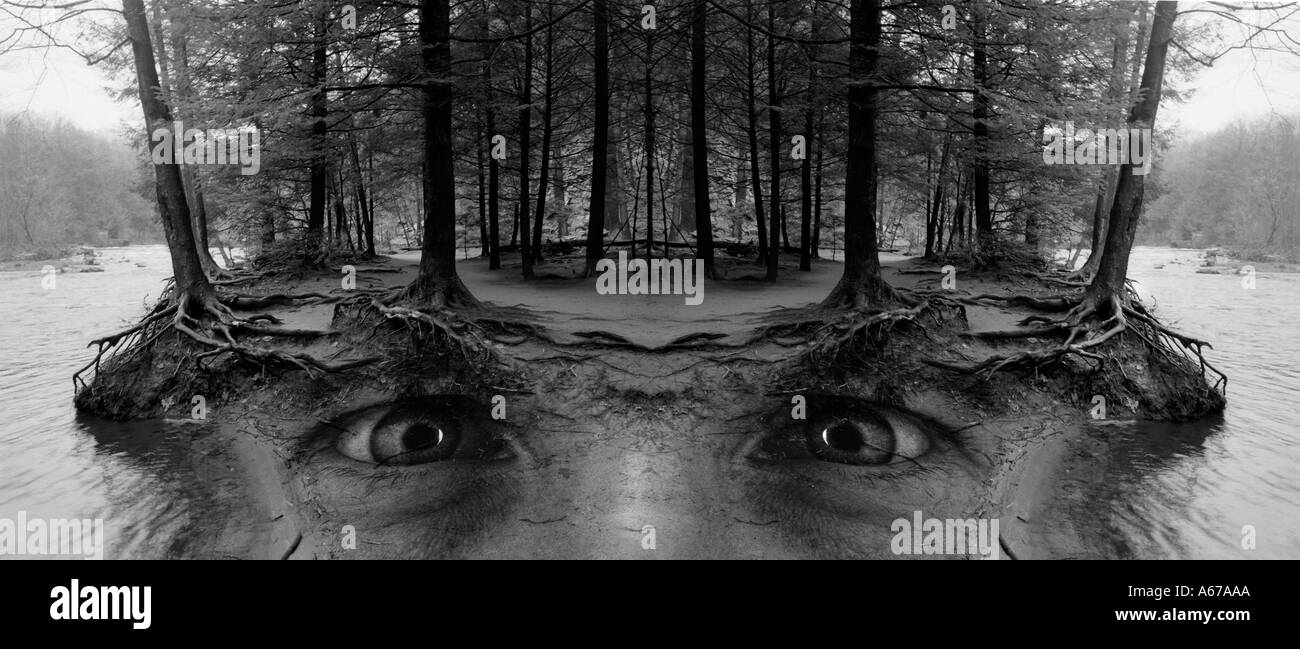 Island with eyes Stock Photo Alamy