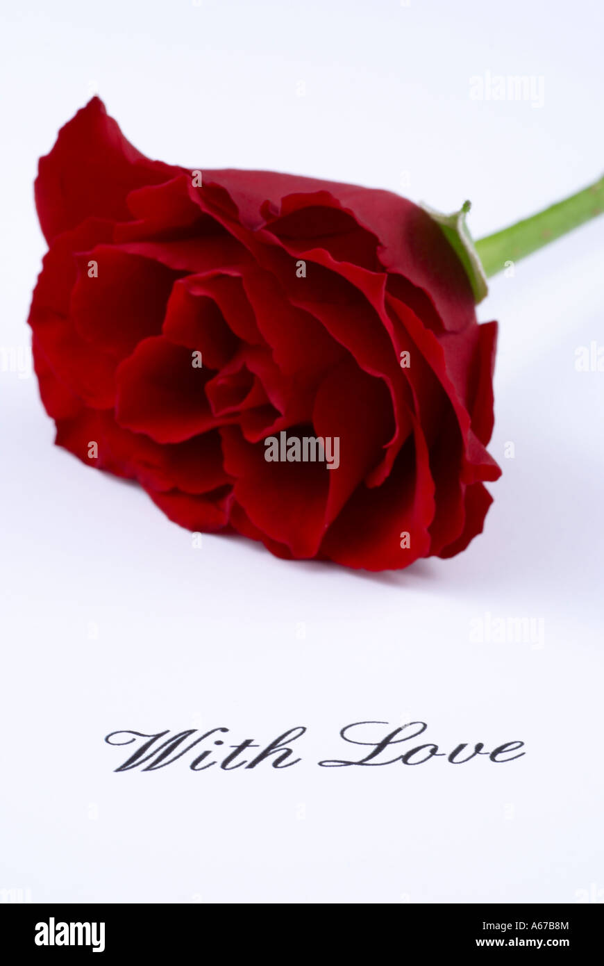 With Love A Single Red Rose And A Hand Written Message Reading With