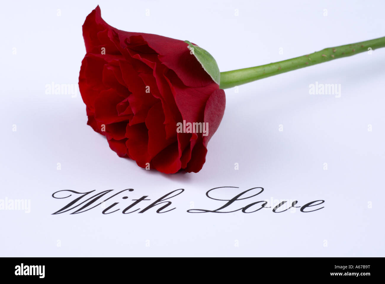 With Love A single red rose and a hand written message reading With Love  Stock Photo - Alamy