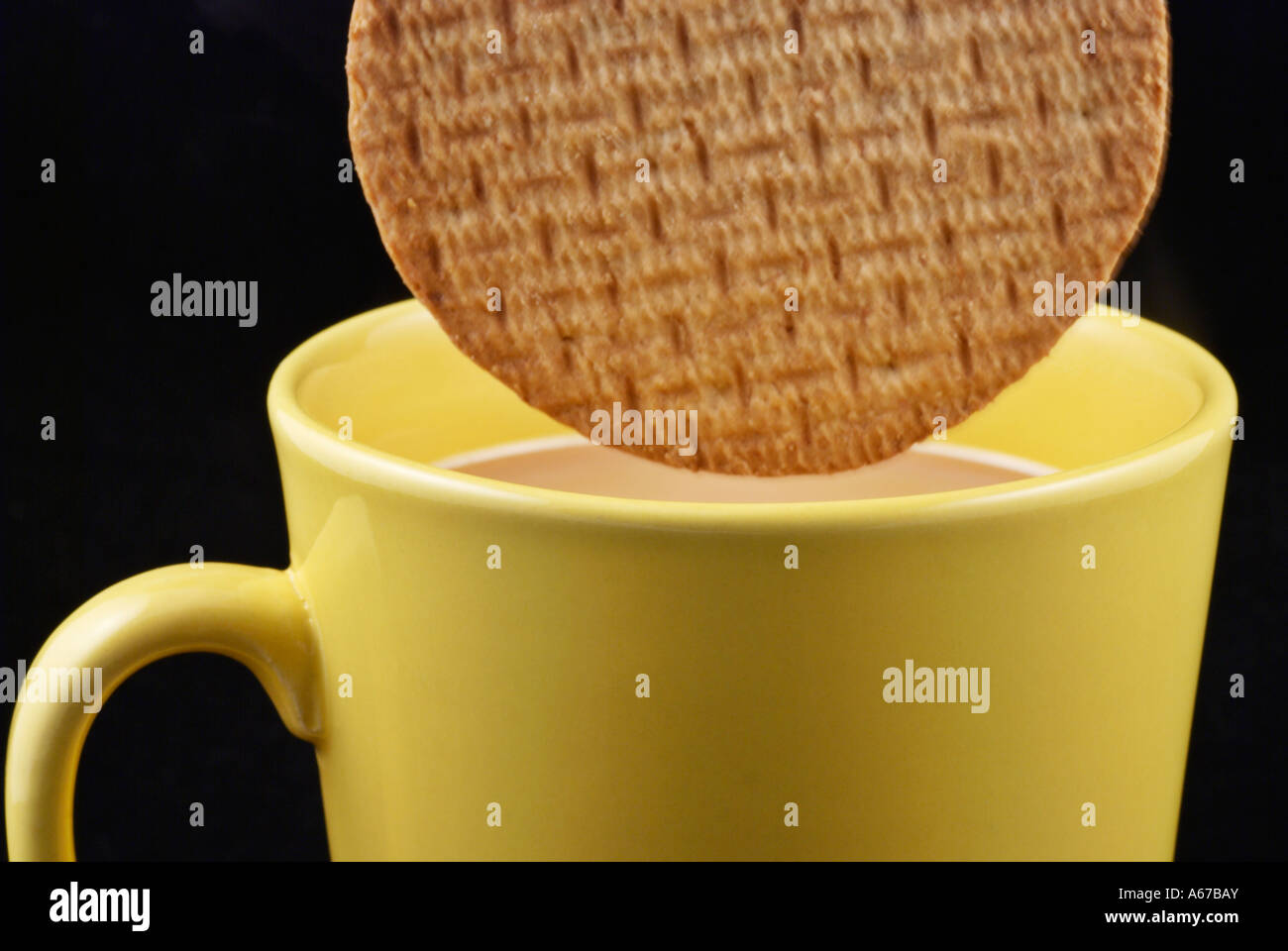 Tea and Biscuits A digestive biscuit being dipped or dunked into a cup