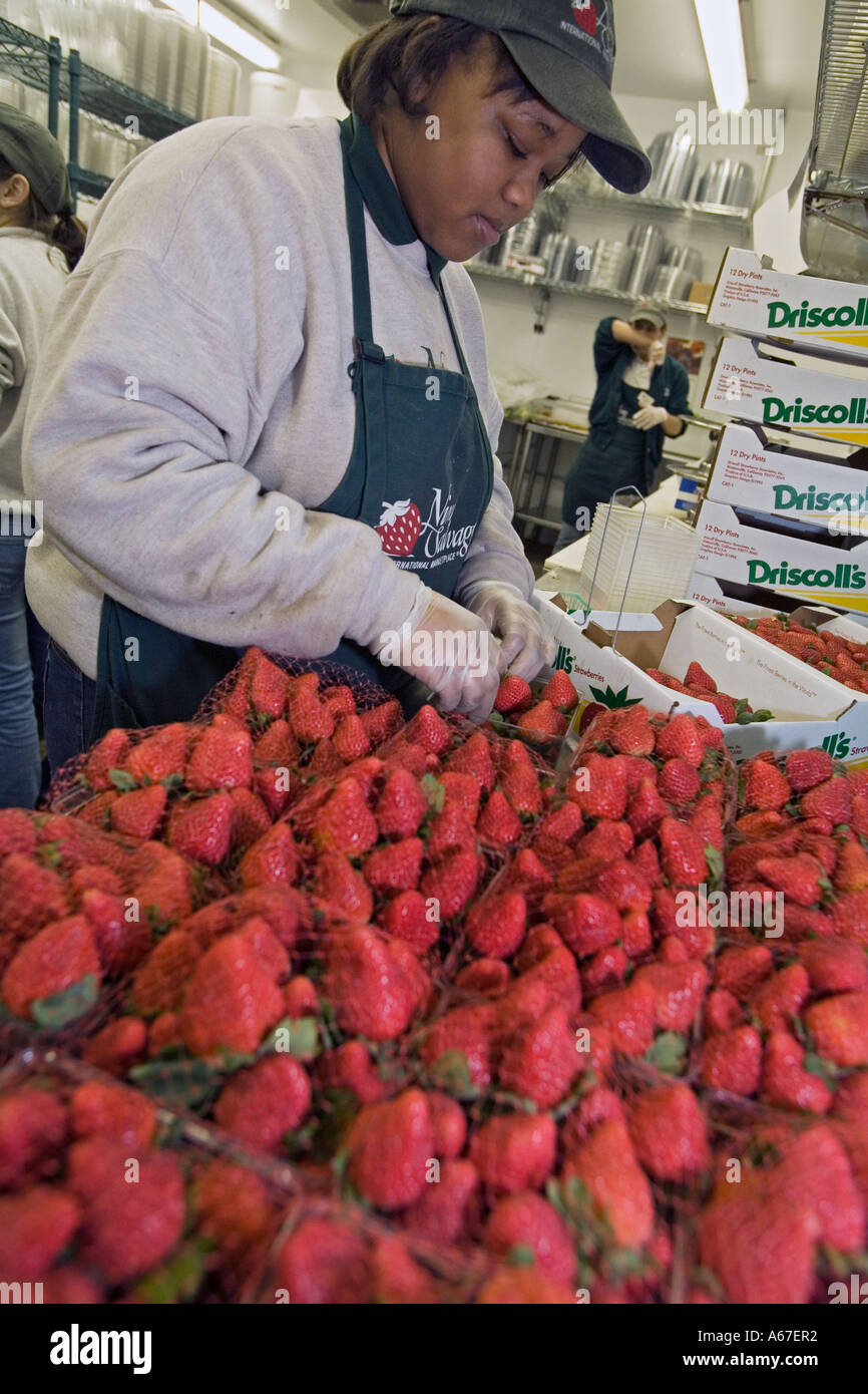 Gourmet Food Retail Shop Stock Photo