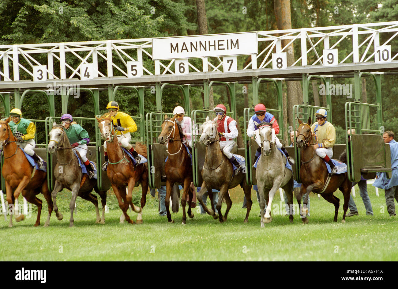 Arabian racing hi-res stock photography and images - Alamy