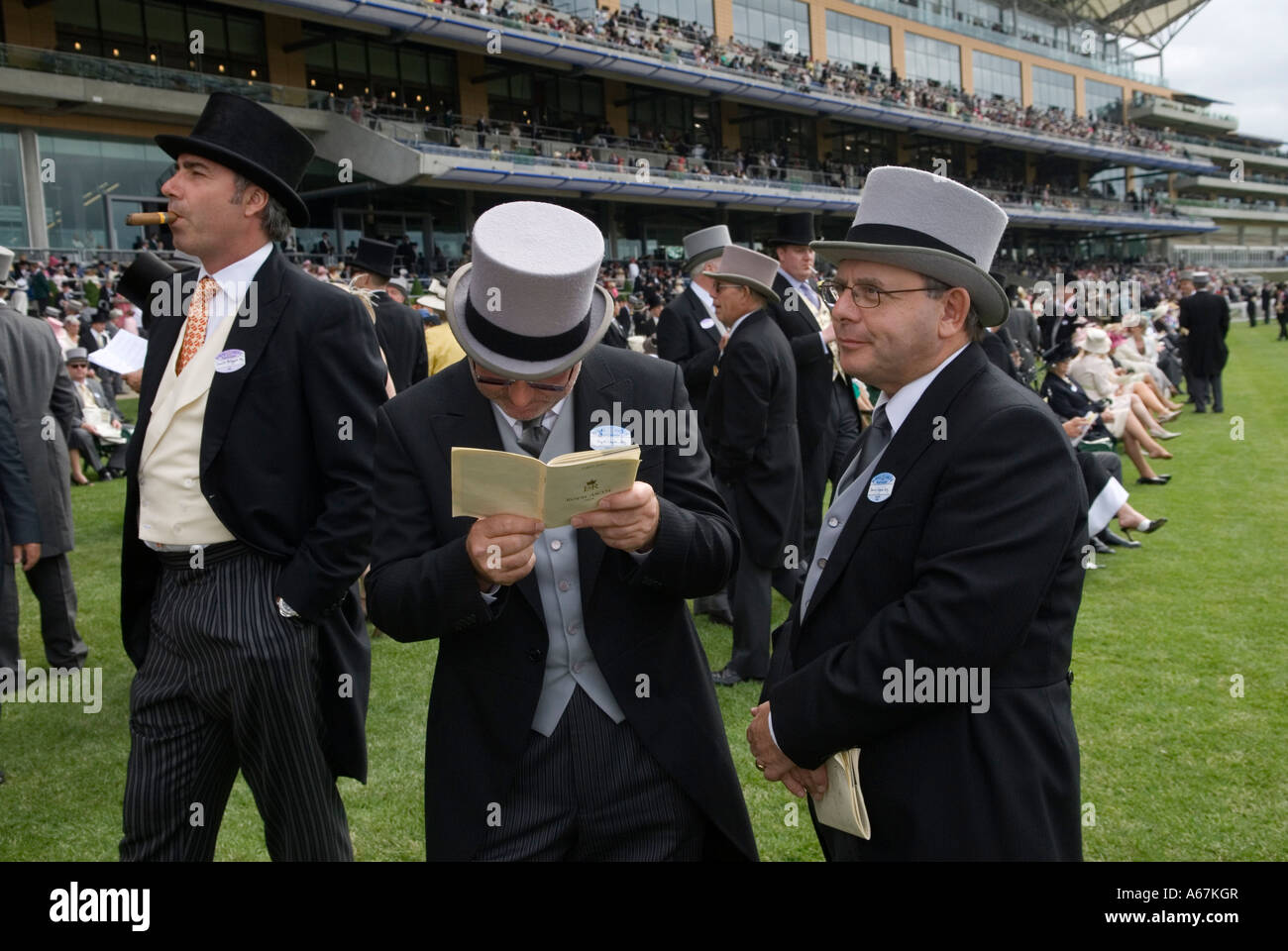 Horse racing card, group of men wearing top hats and tail coats at Royal Ascot in the Royal Enclosure, Berkshire England  2006 2000s UK HOMER SYKES Stock Photo