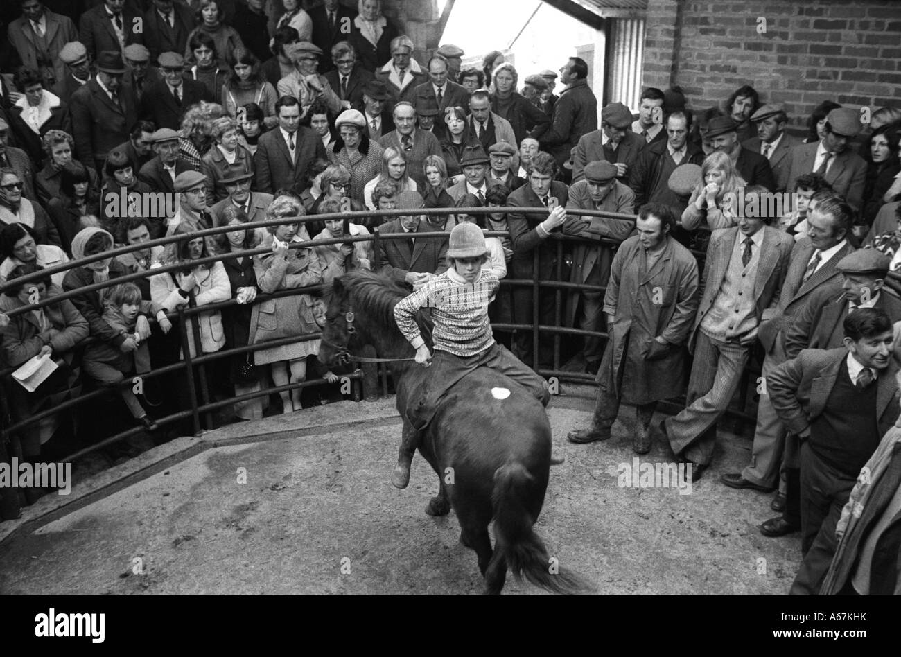 1970s farmers at auction showing horse at an annual horse sale. Boy riding child proof horse bareback without saddle. Hatherleigh, Devon 1973 UK. Stock Photo