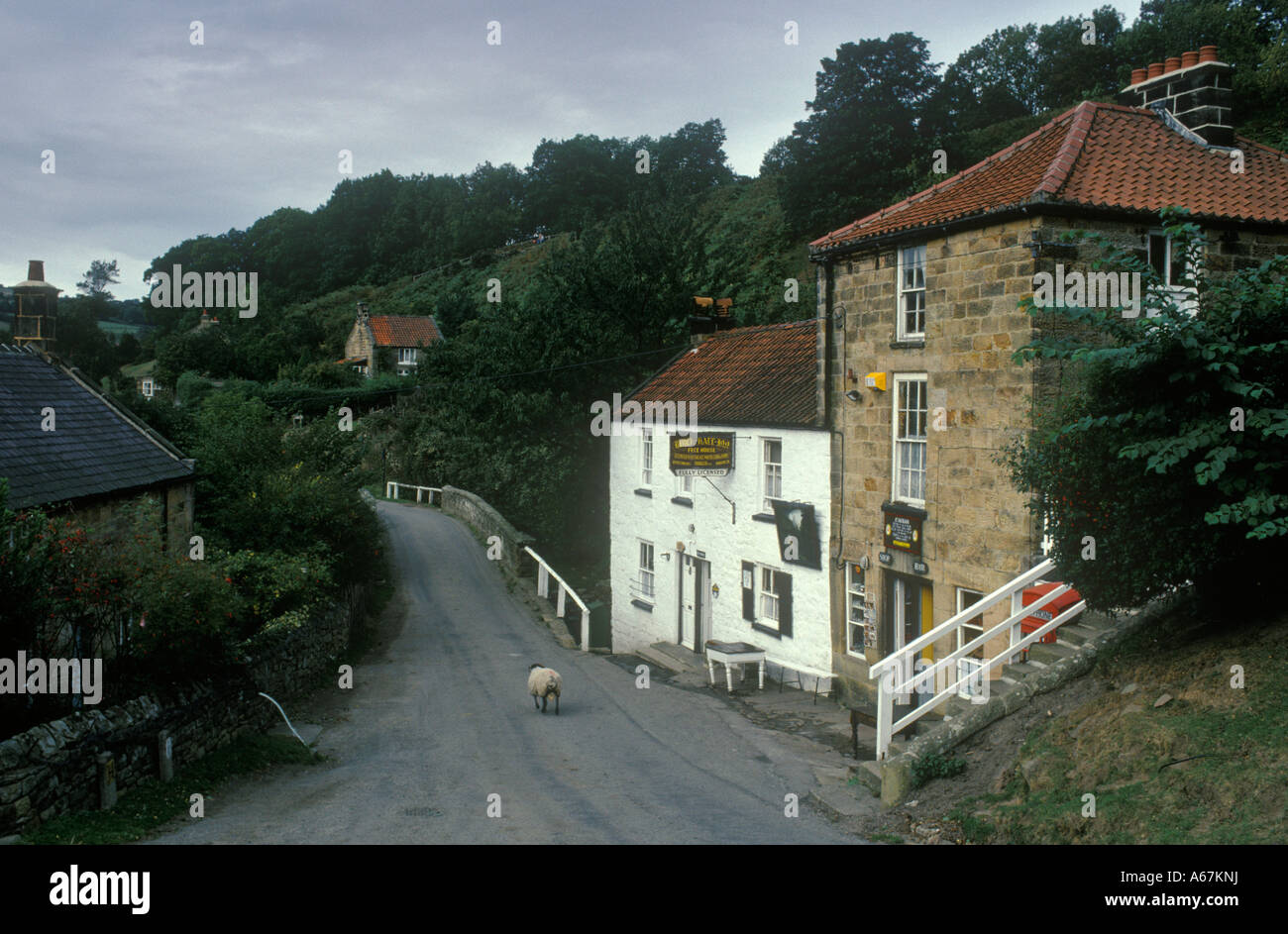 Birch Hall Inn, a village pub.  Beck Hole, Goathland, North York Moors Yorkshire, England 1991 1990s HOMER SYKES Stock Photo