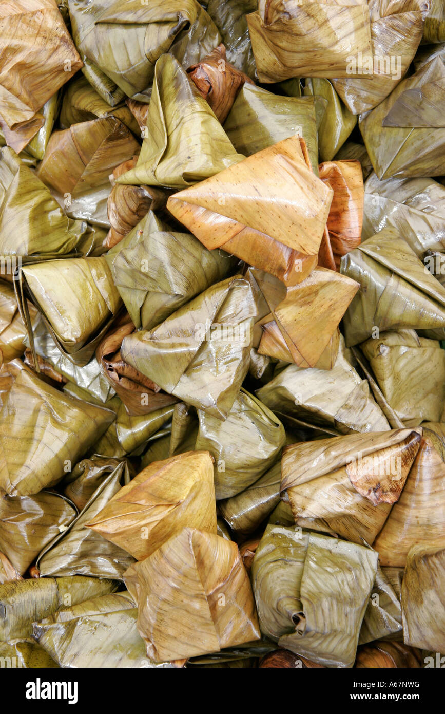 Miami Florida,Homestead,Fruit & Spice Park,Asian Culture Festival