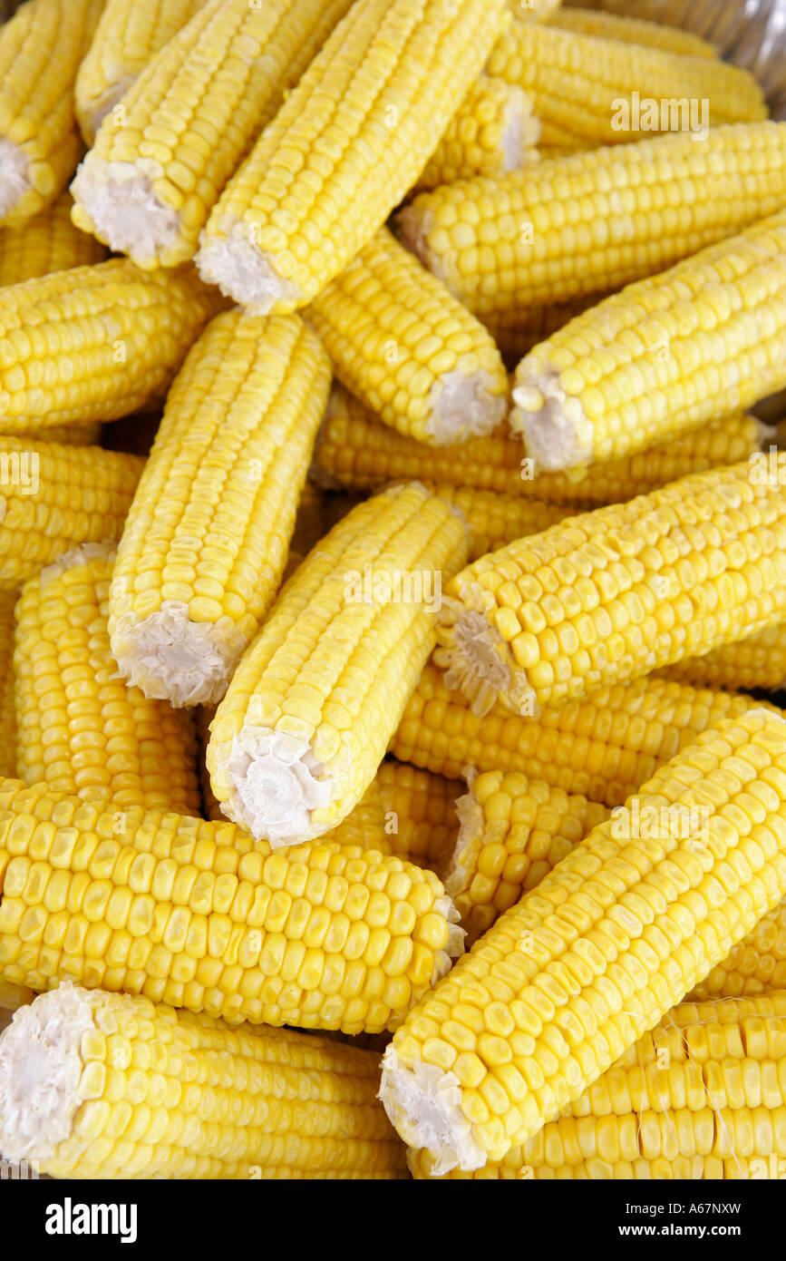 Miami Florida,Homestead,Fruit and Spice Park,Asian Culture Festival