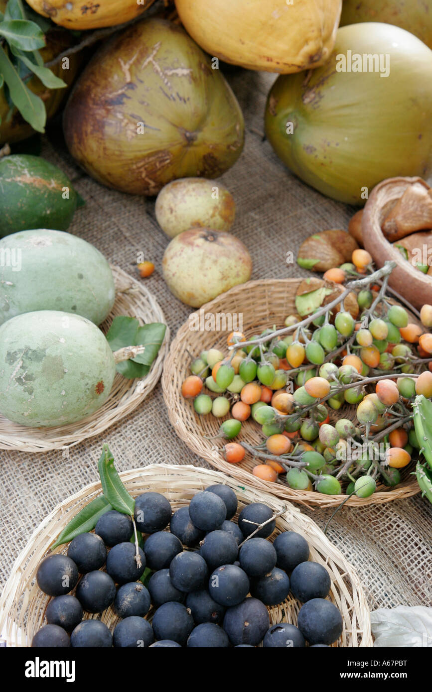 Homestead Florida Fruit and Spice Park Asian Culture Festival exotic