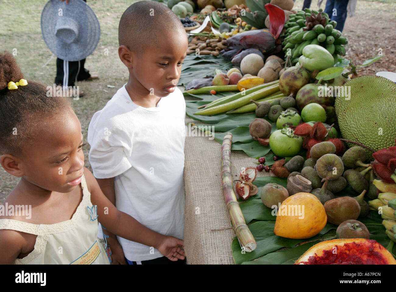 Miami Florida,Homestead,Fruit and Spice Park,Asian Culture Festival,festivals,celebration,fair