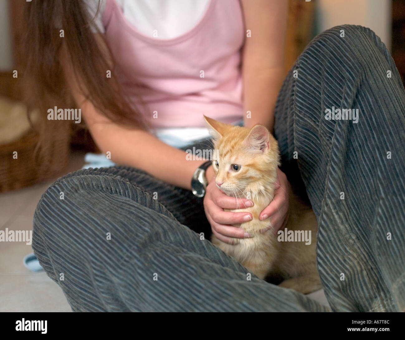 young girl holding ginger kitten Stock Photo