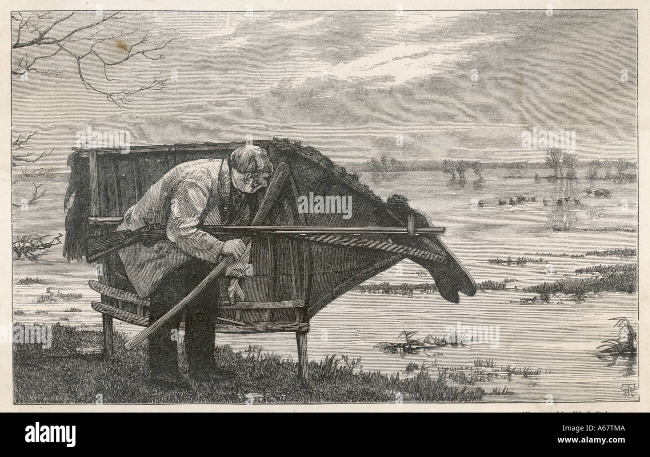 Knowing that birds are less hires stock photography and images Alamy