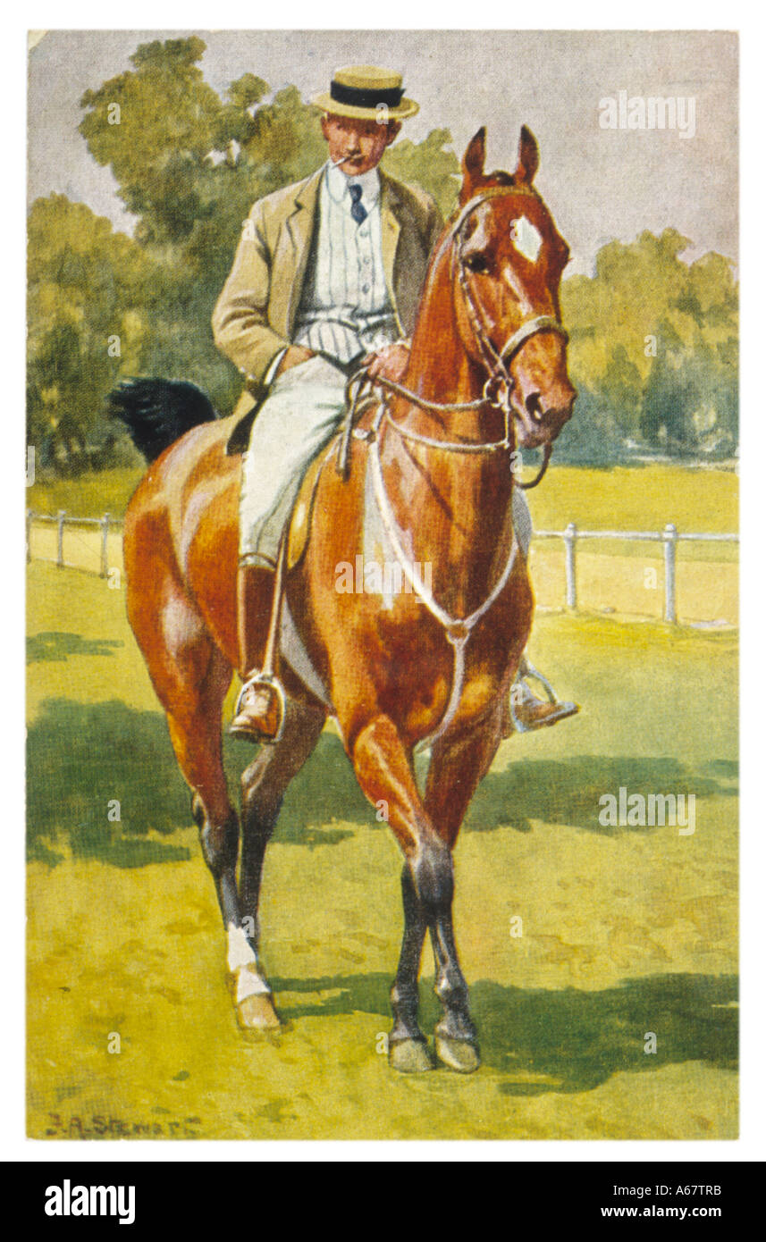 American Saddle Horse Stock Photo - Alamy