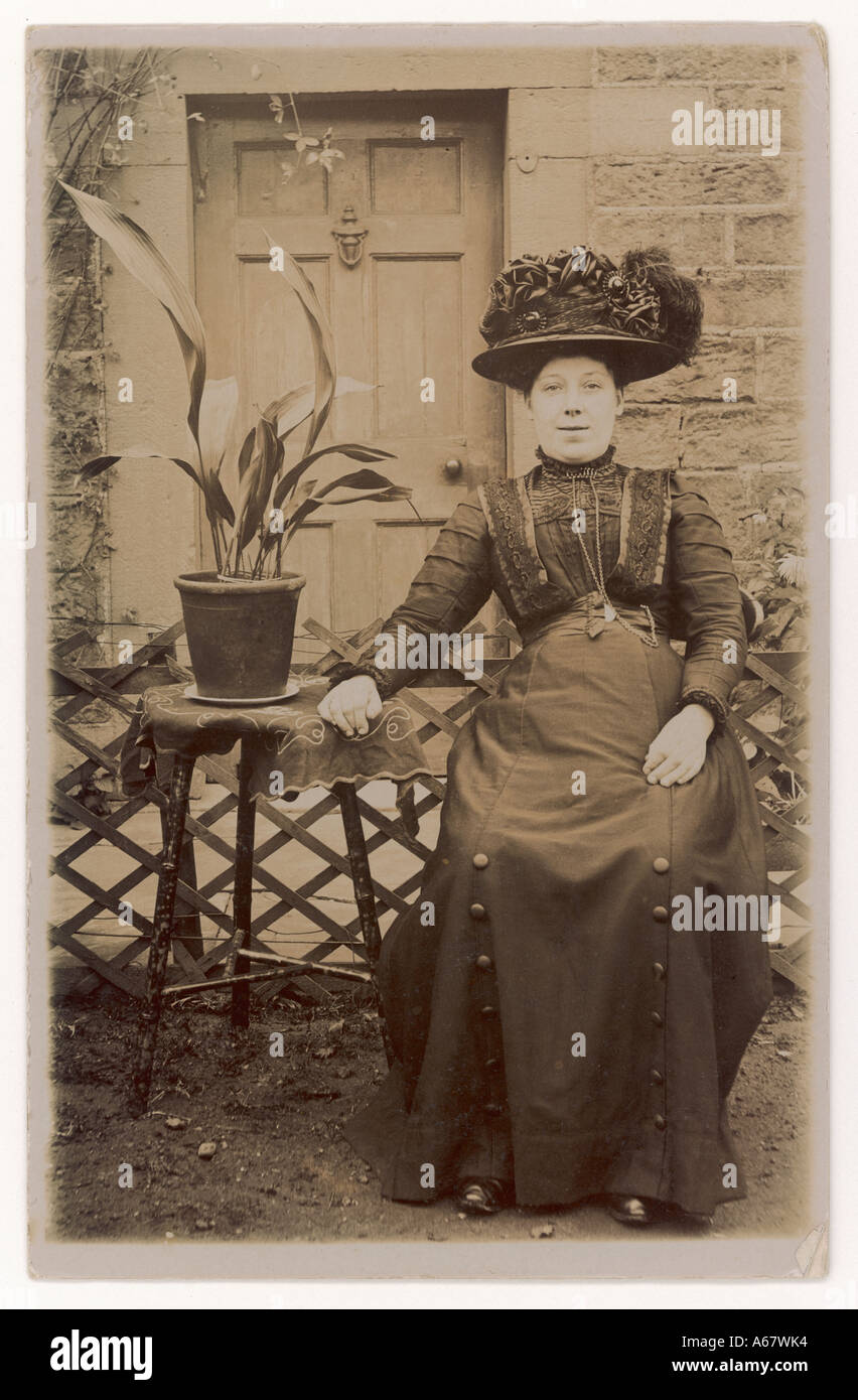 Aspidistra pot hires stock photography and images Alamy