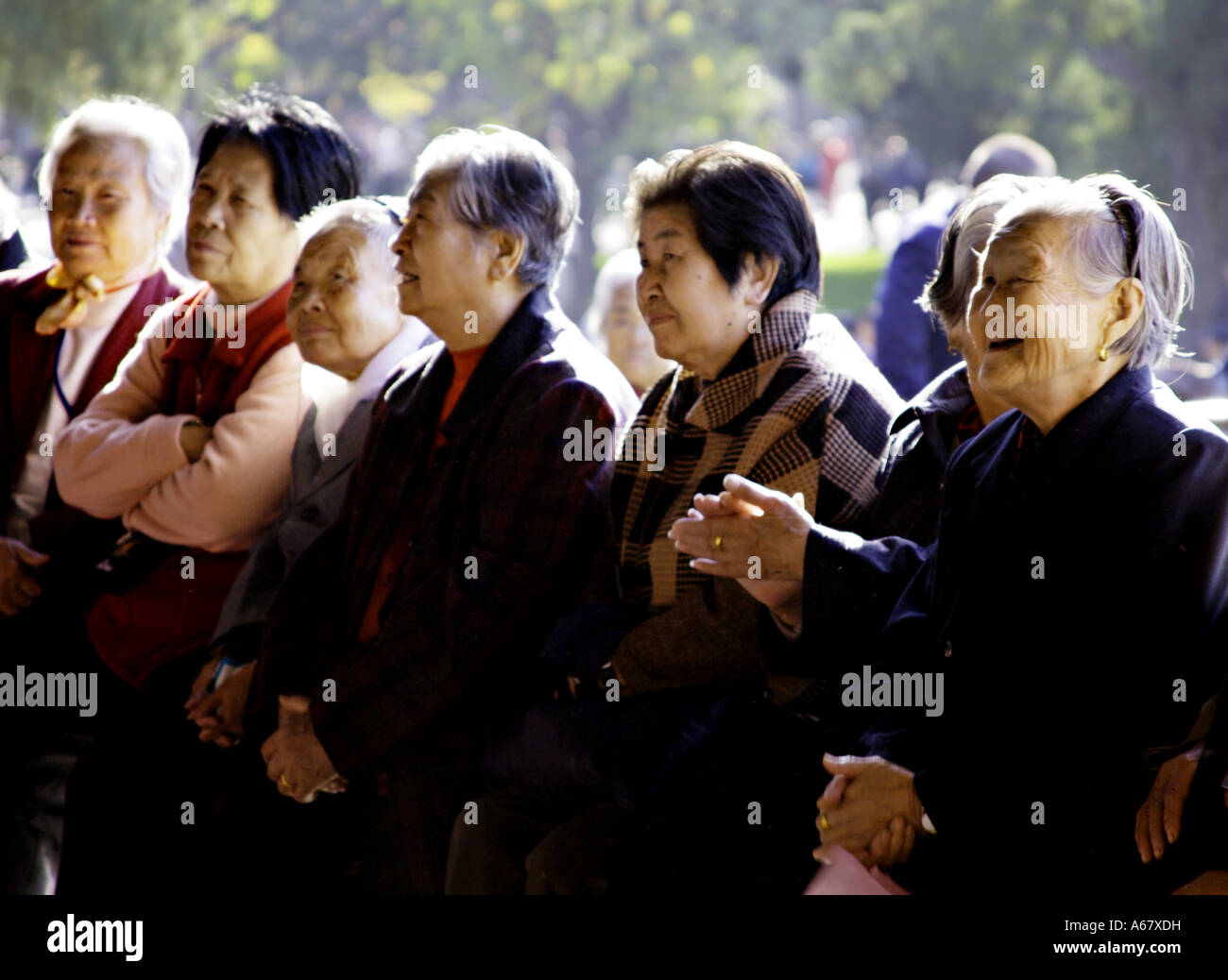 CHINA BEIJING Elderly Chinese citizens gather early in the morning at pavilion of the Temple of Heaven Park to sing traditional Stock Photo