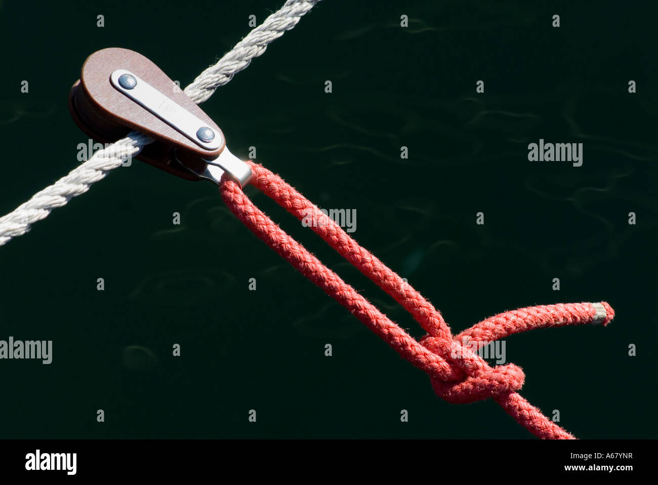 Attaching rope, marina Kiel-Duesternbrook, Schleswig-Holstein, Germany ...