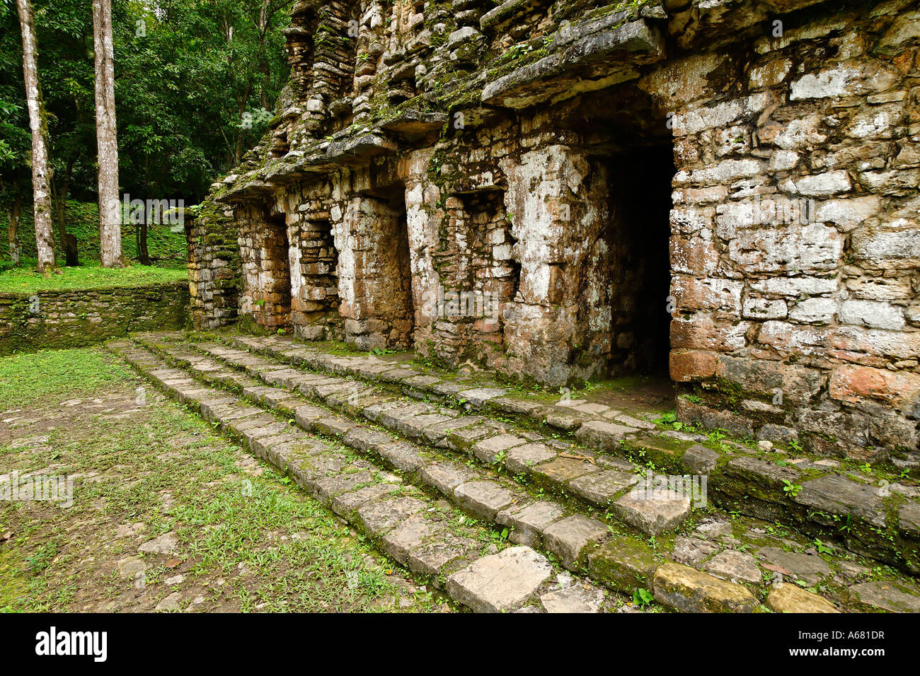 Maya site Yaxchilan, Selva Lacandona, Lakandonian Forest, Chiapas ...