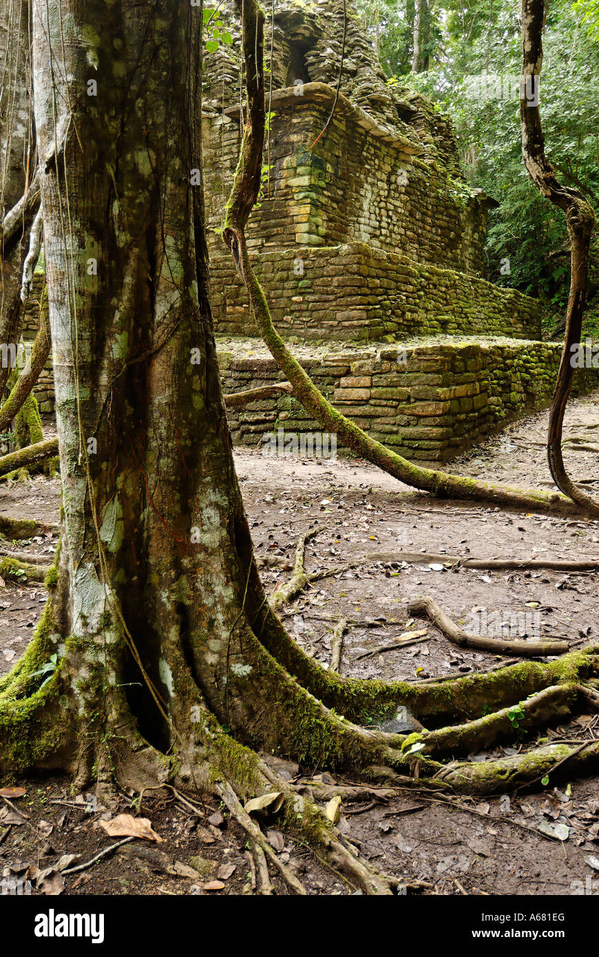 Maya site Yaxchilan, Selva Lacandona, Lakandonian Forest, Chiapas ...