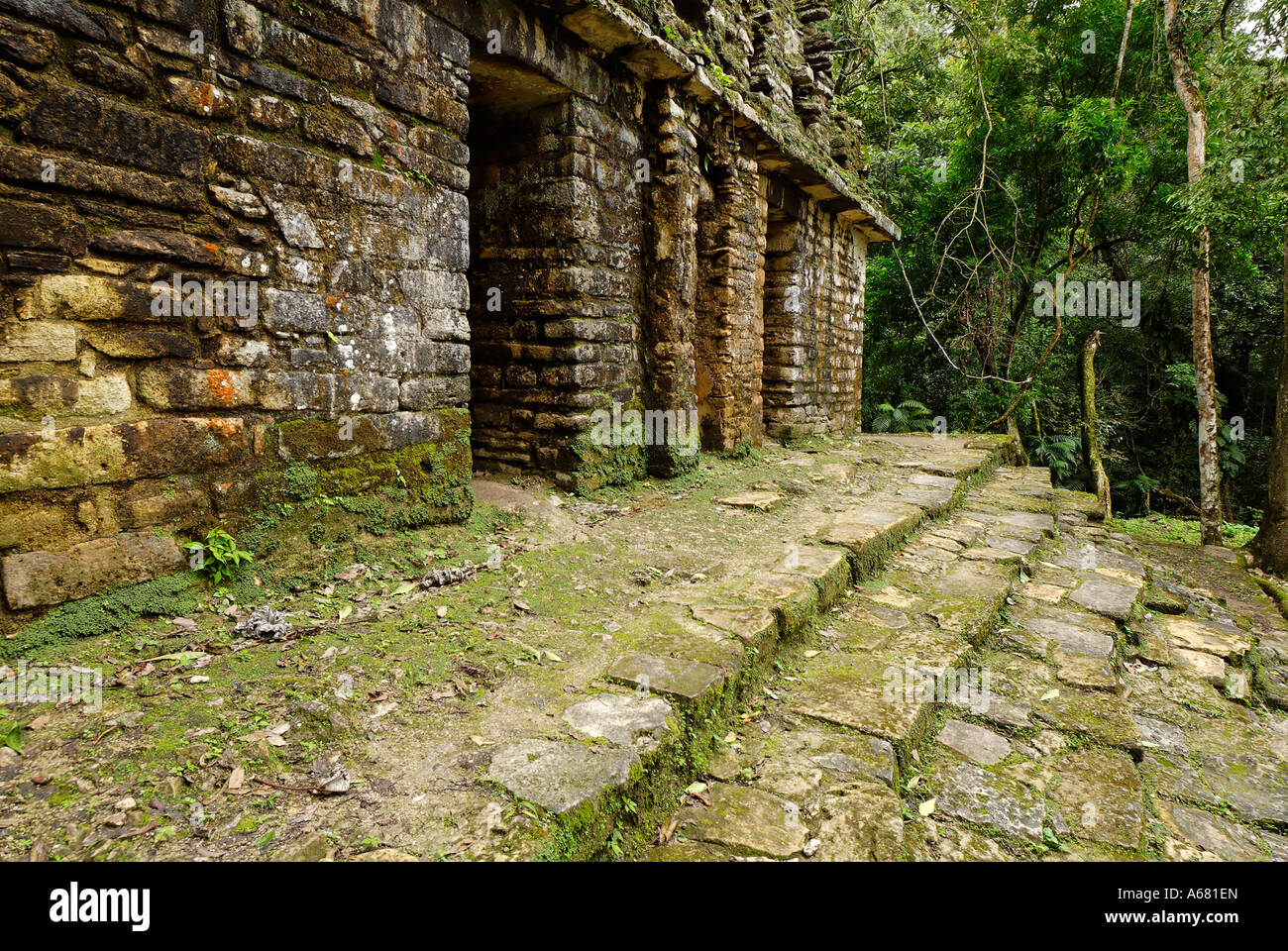 Maya site Yaxchilan, Selva Lacandona, Lakandonian Forest, Chiapas ...