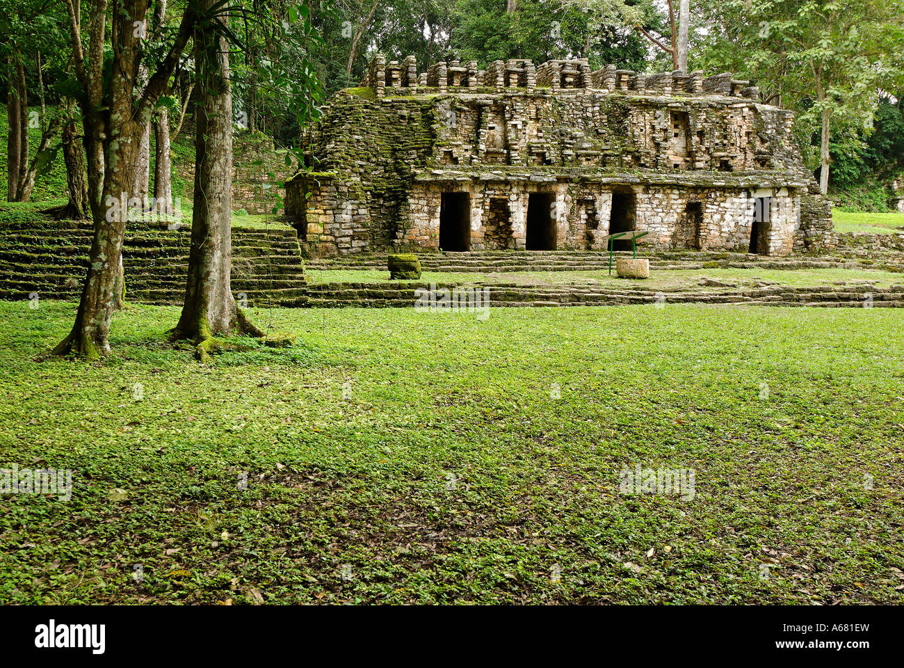 Maya site Yaxchilan, Selva Lacandona, Lakandonian Forest, Chiapas ...