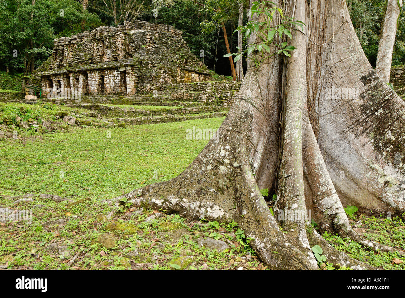 Maya site Yaxchilan, Selva Lacandona, Lakandonian Forest, Chiapas ...