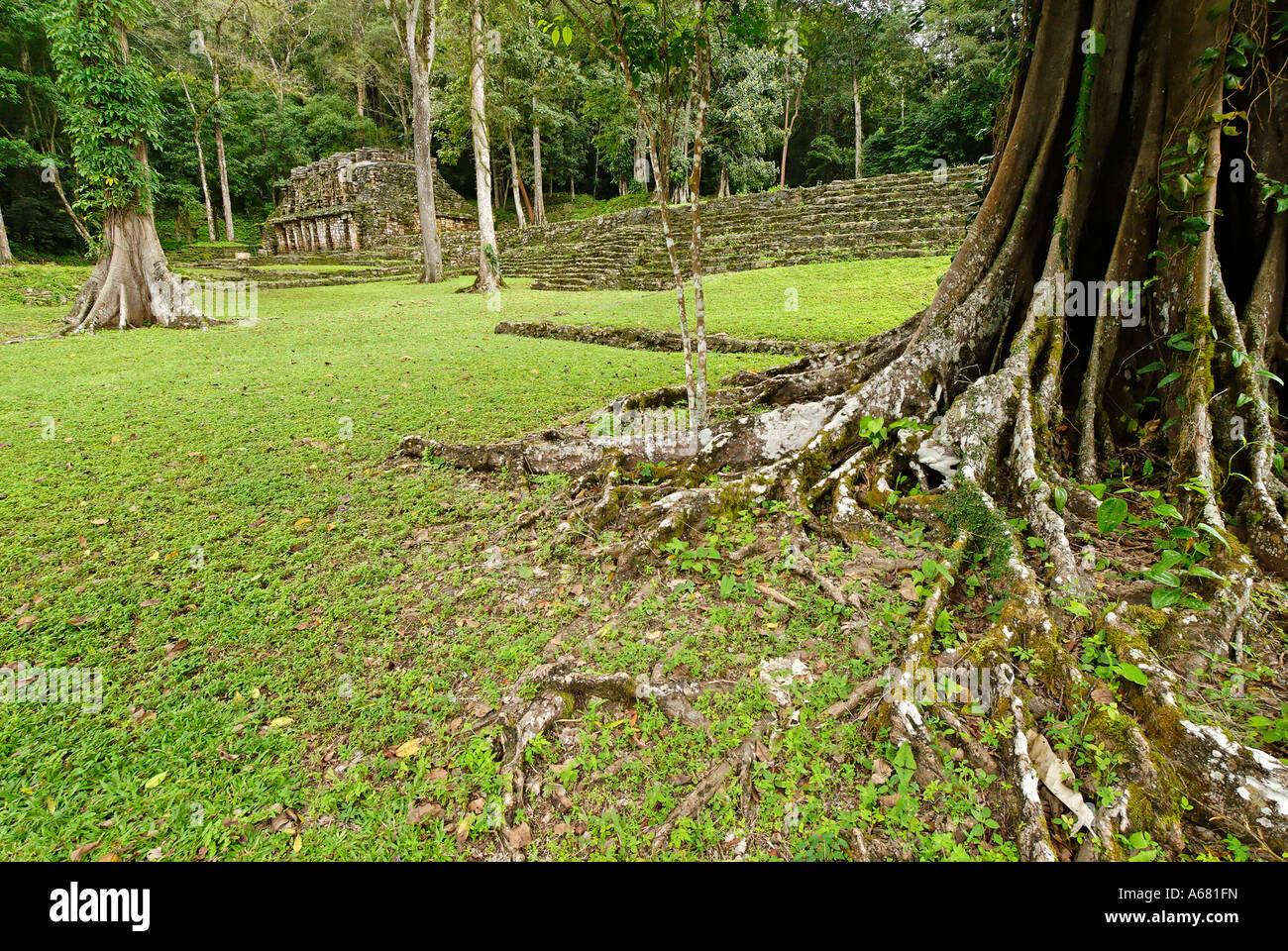 Maya site Yaxchilan, Selva Lacandona, Lakandonian Forest, Chiapas ...