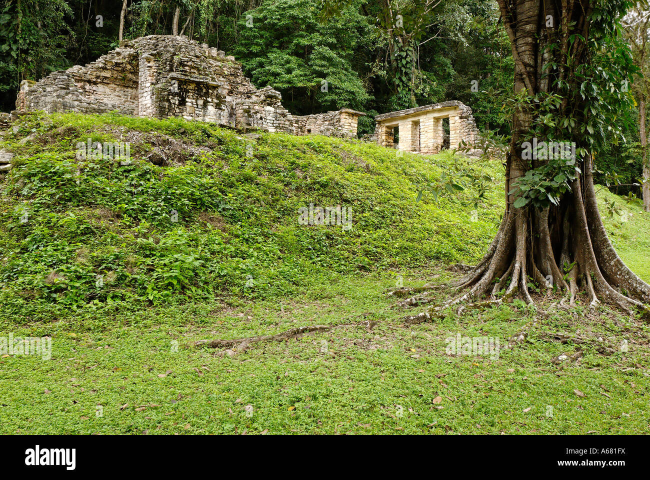Maya site Yaxchilan, Selva Lacandona, Lakandonian Forest, Chiapas ...