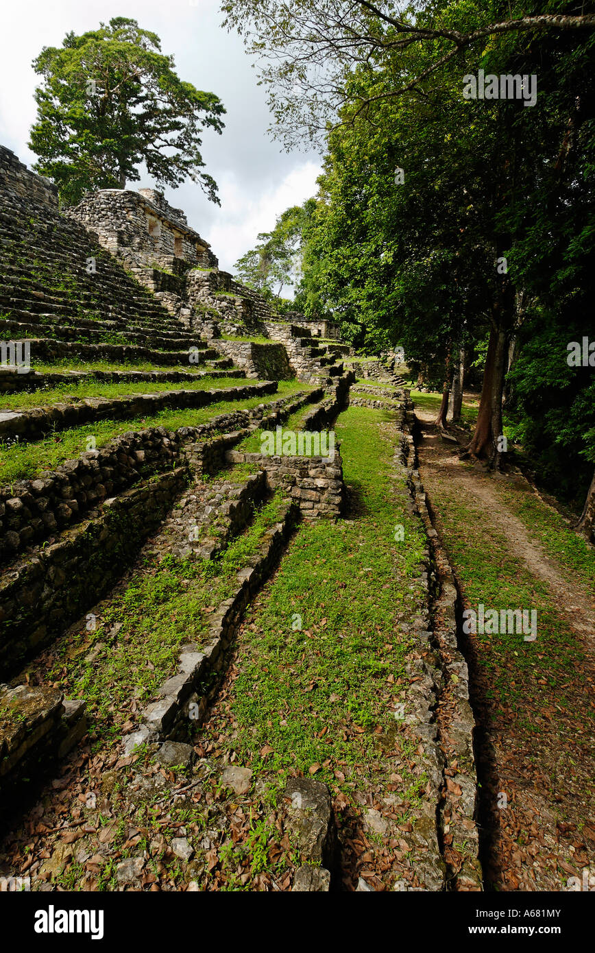 Maya site Yaxchilan, Selva Lacandona, Lakandonian Forest, Chiapas ...
