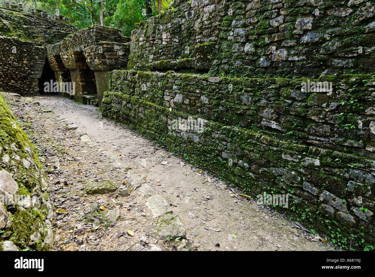 Maya site Yaxchilan, Selva Lacandona, Lakandonian Forest, Chiapas ...