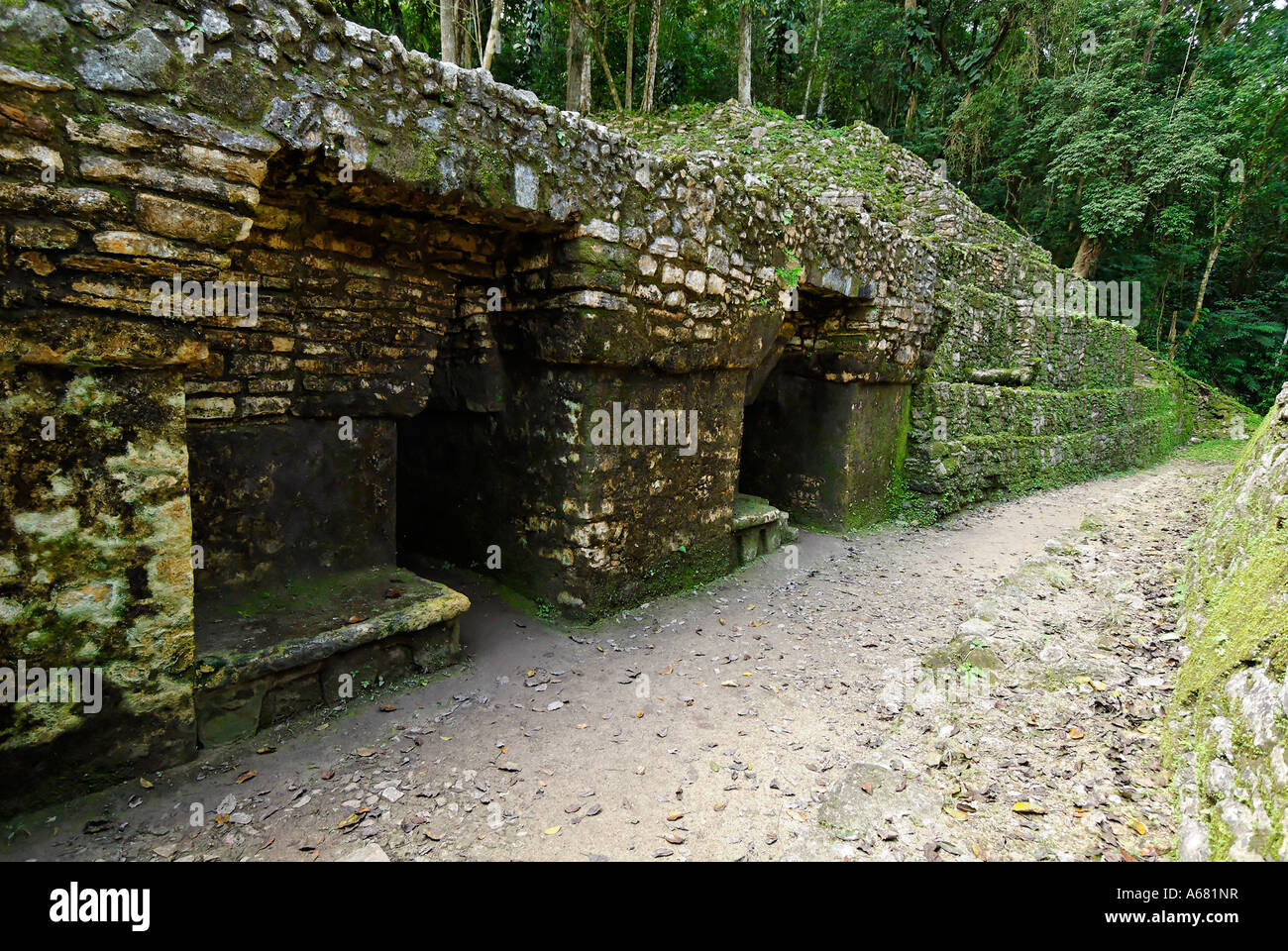 Maya site Yaxchilan, Selva Lacandona, Lakandonian Forest, Chiapas ...