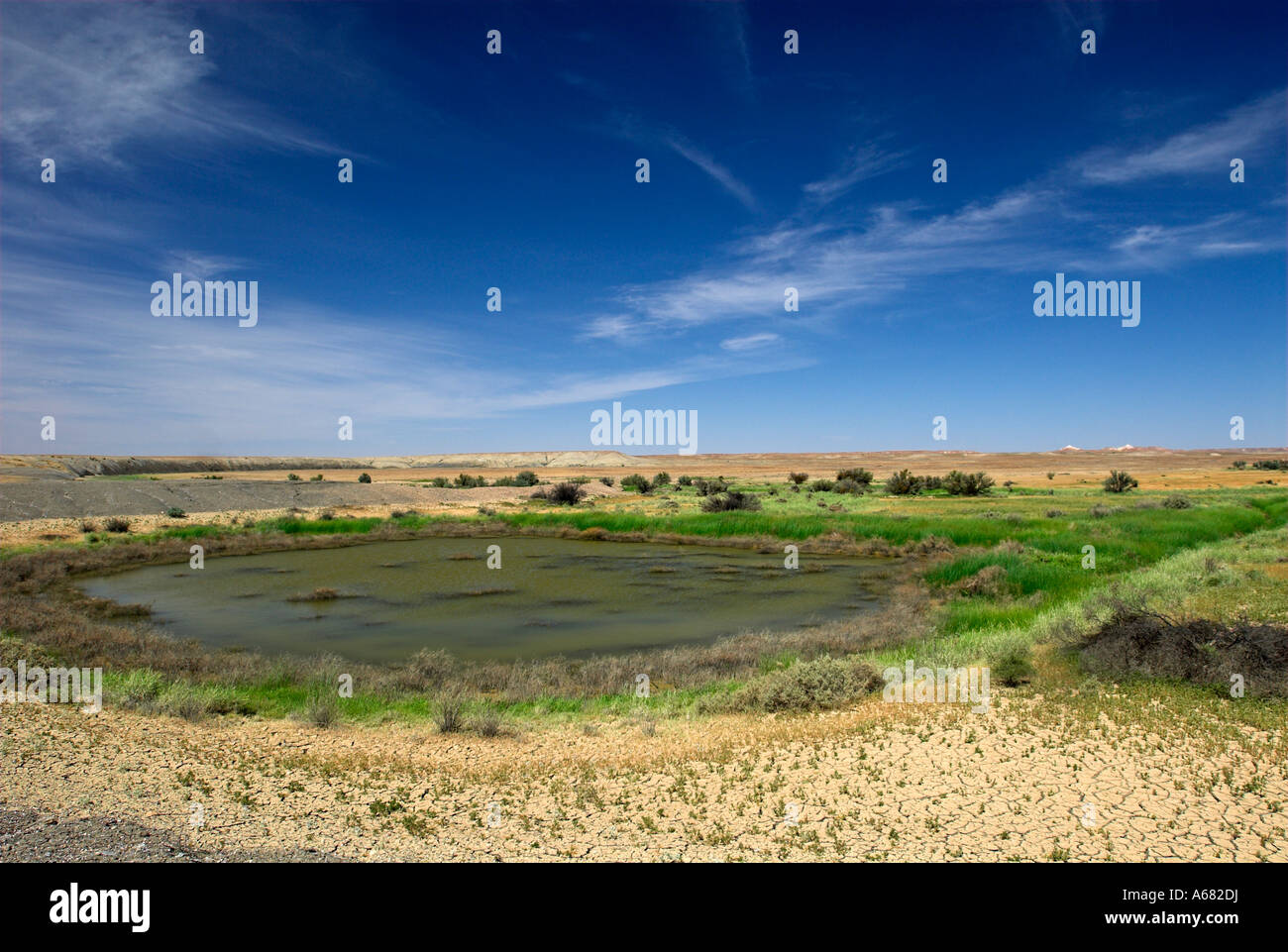Water hole in the outback near Coober Pedy, South Australia, Australia Stock Photo