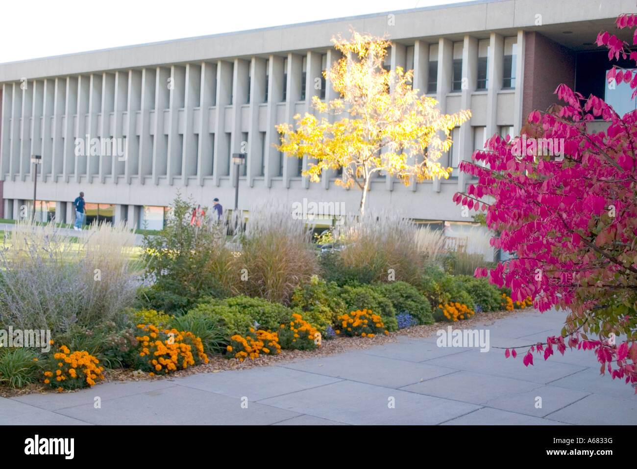 Olin Hall Science Center Macalester College Campus. St Paul Minnesota