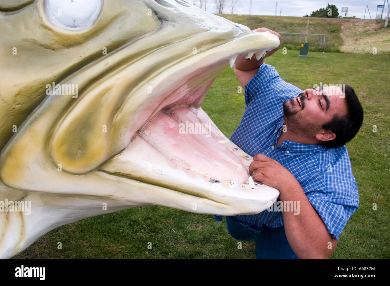 Walleye fish minnesota hi-res stock photography and images - Alamy
