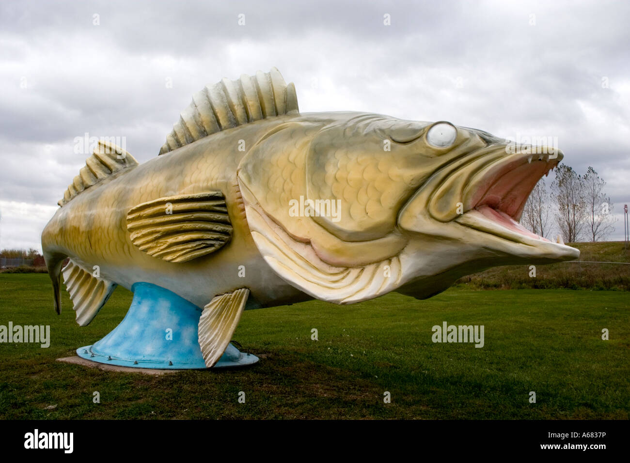 A threatening view of the worlds largest walleye caught by Paul Bunyan